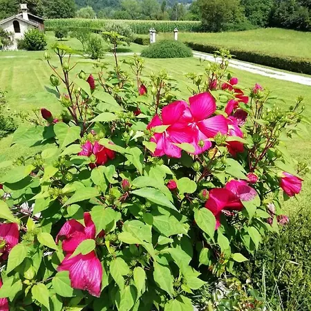 Fienile Chiaramada 아파트