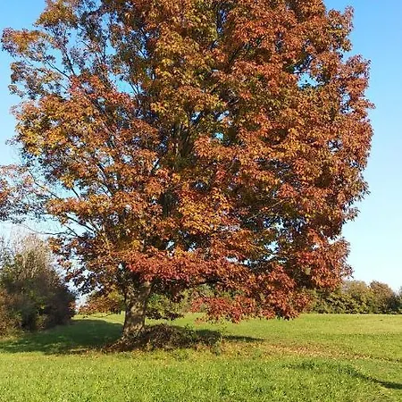 Fienile Chiaramada Апартаменты