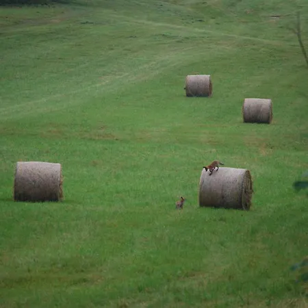 Fienile Chiaramada Μπελούνο