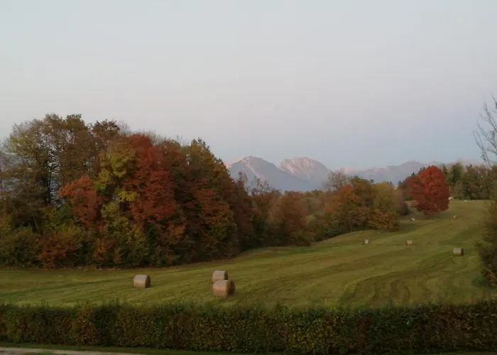 Fienile Chiaramada Apartment *