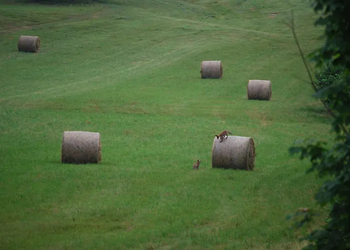 Fienile Chiaramada Belluno